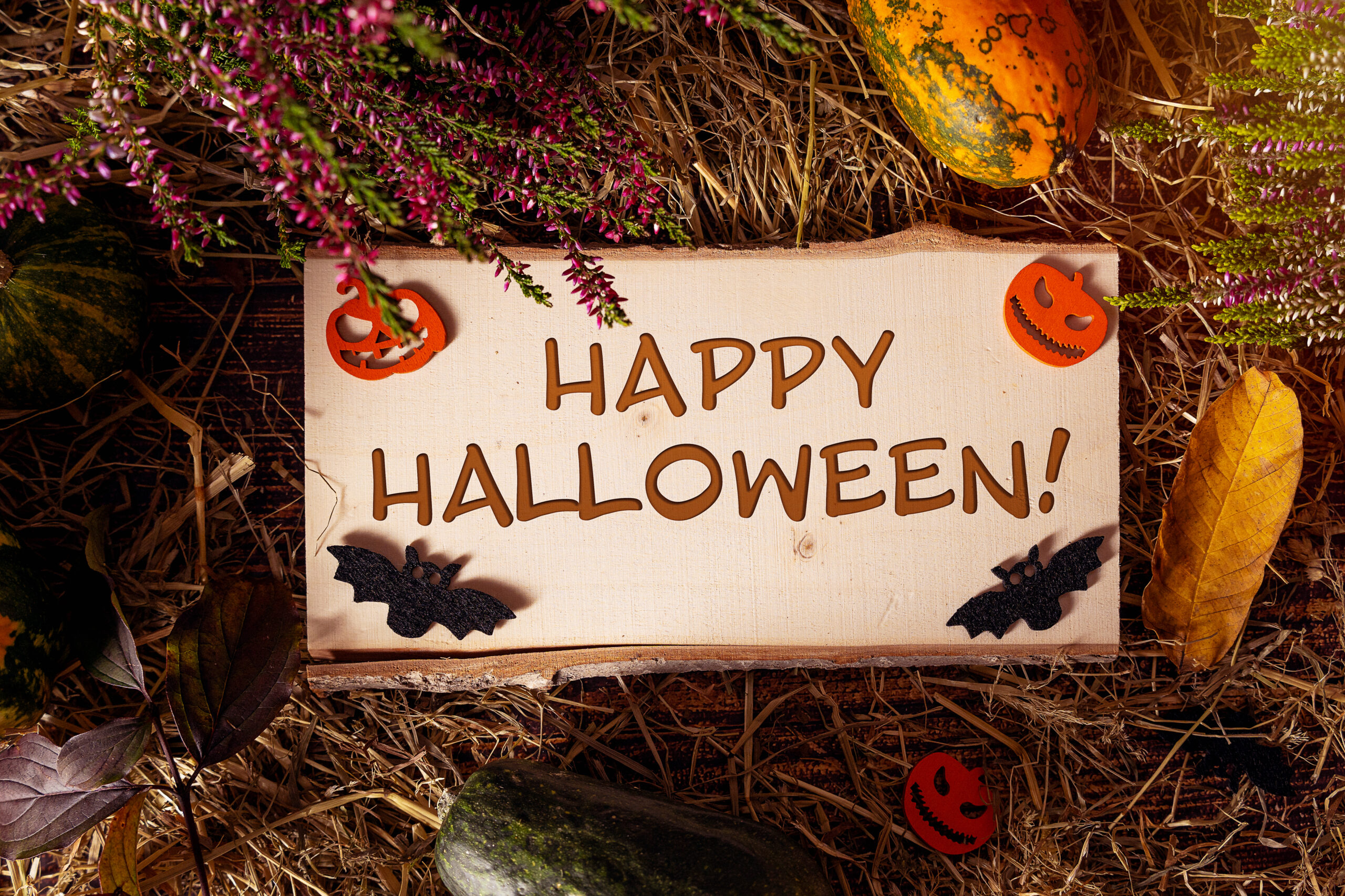 HALLOWEEN BILDER happy halloween wunsch 2 scaled