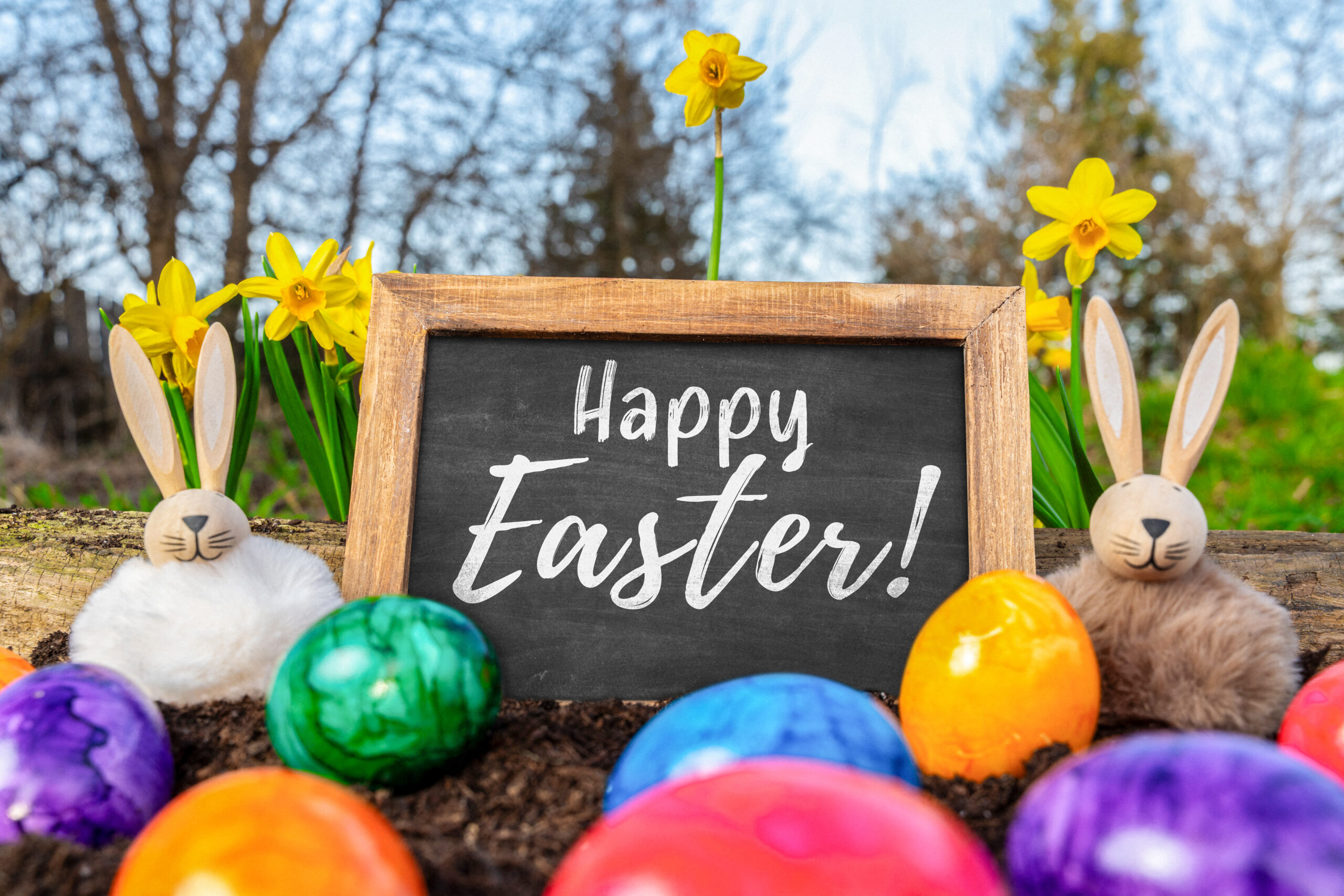 EASTER IMAGES, PHOTOS & PICTURES happy easter 4 scaled