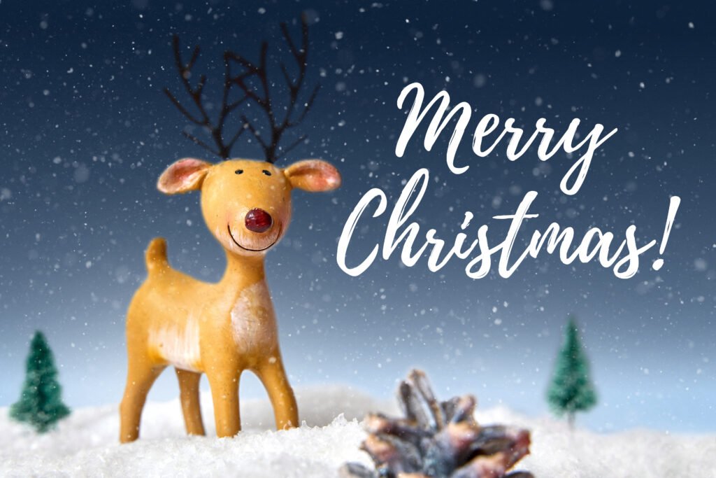 Merry Christmas – festliches Weihnachtsbild mit Rentier im Schnee und winterlicher Stimmung