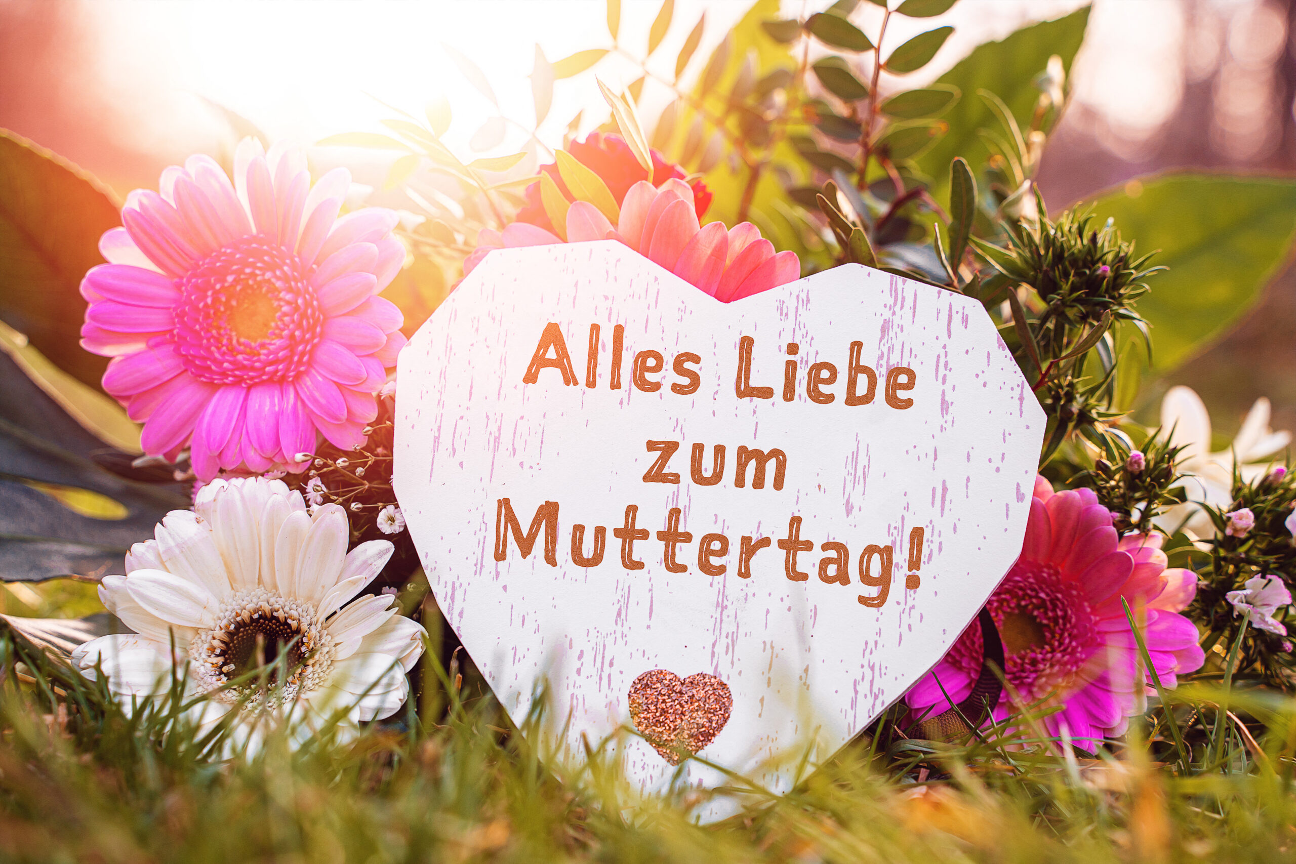 MUTTERTAG BILDER ALLES LIEBE SCALED BILDER muttertag bilder alles liebe scaled bilder
