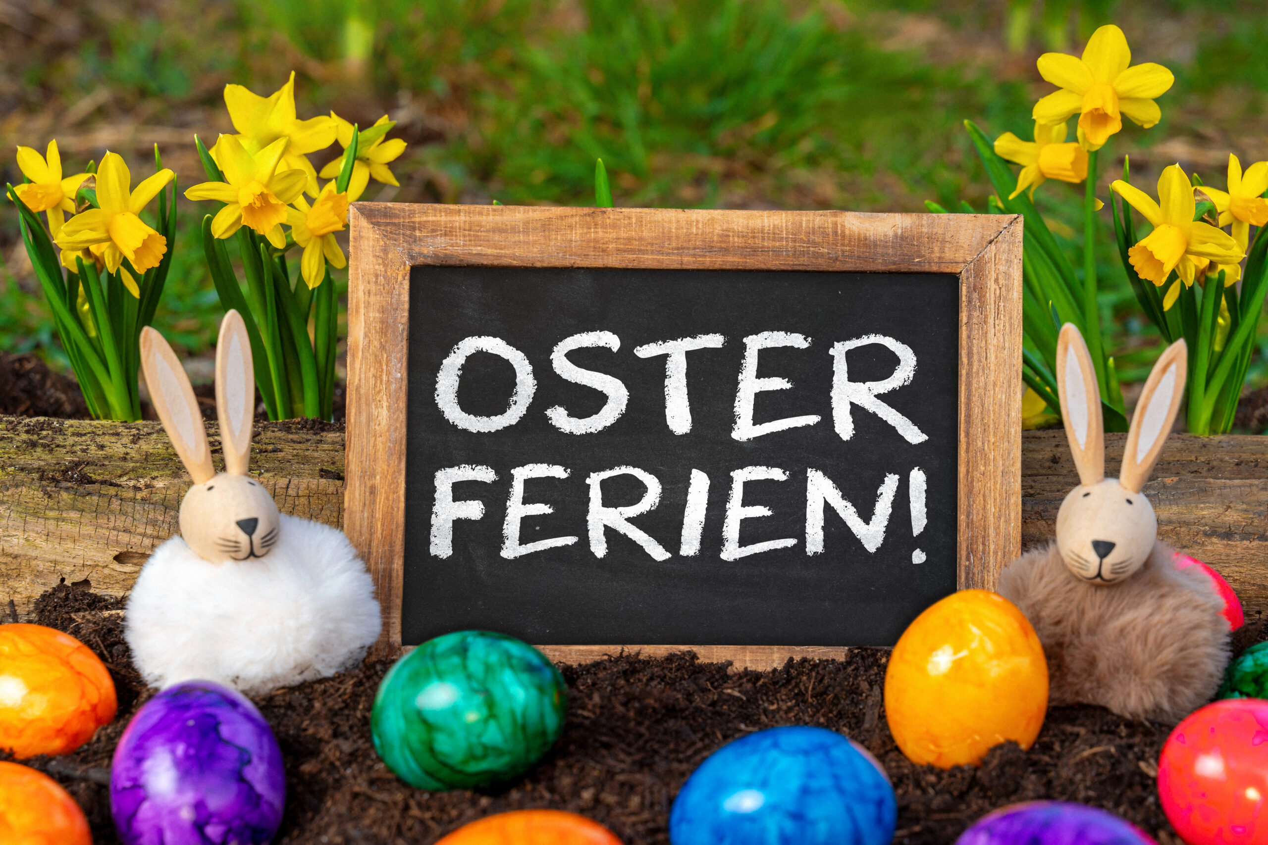 osterferien bilder 3 scaled bilder