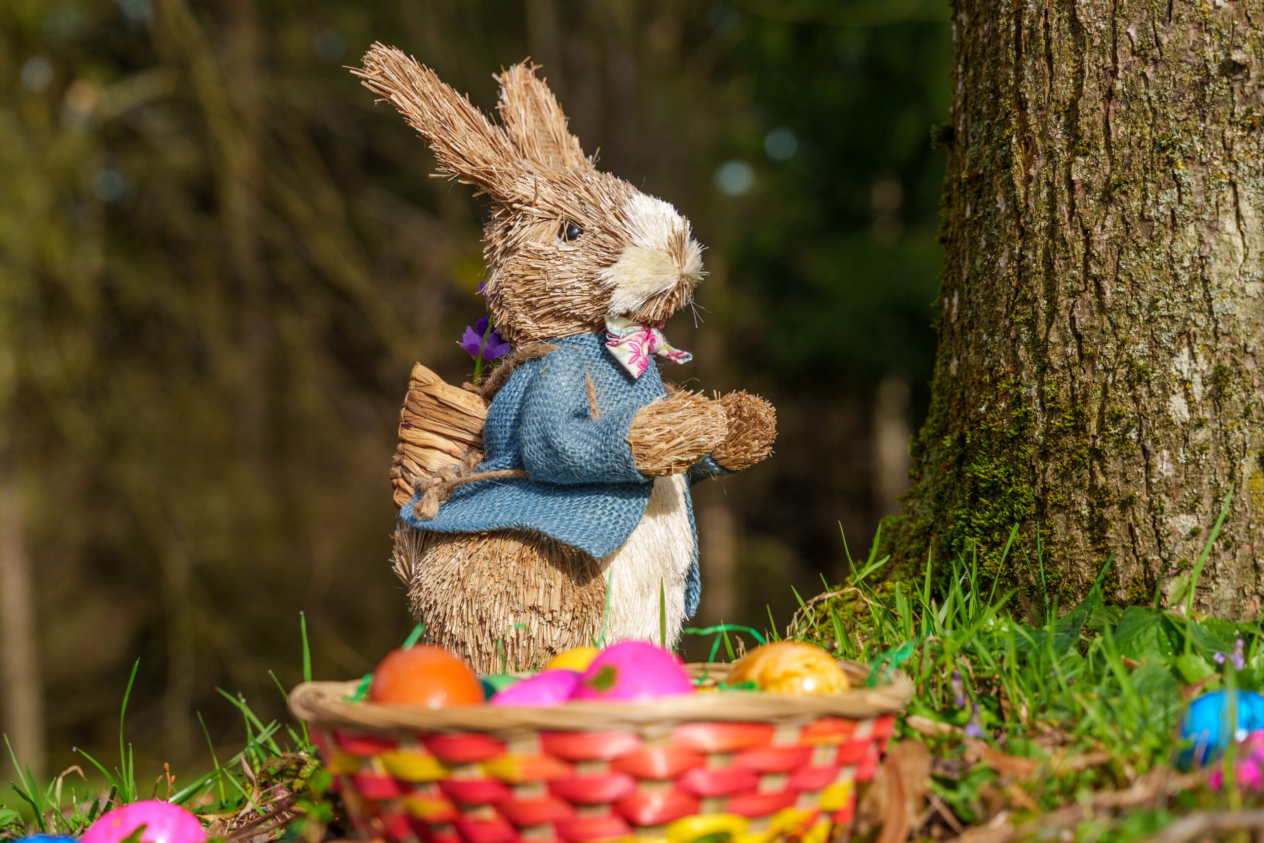 osterhase im wald 2 scaled