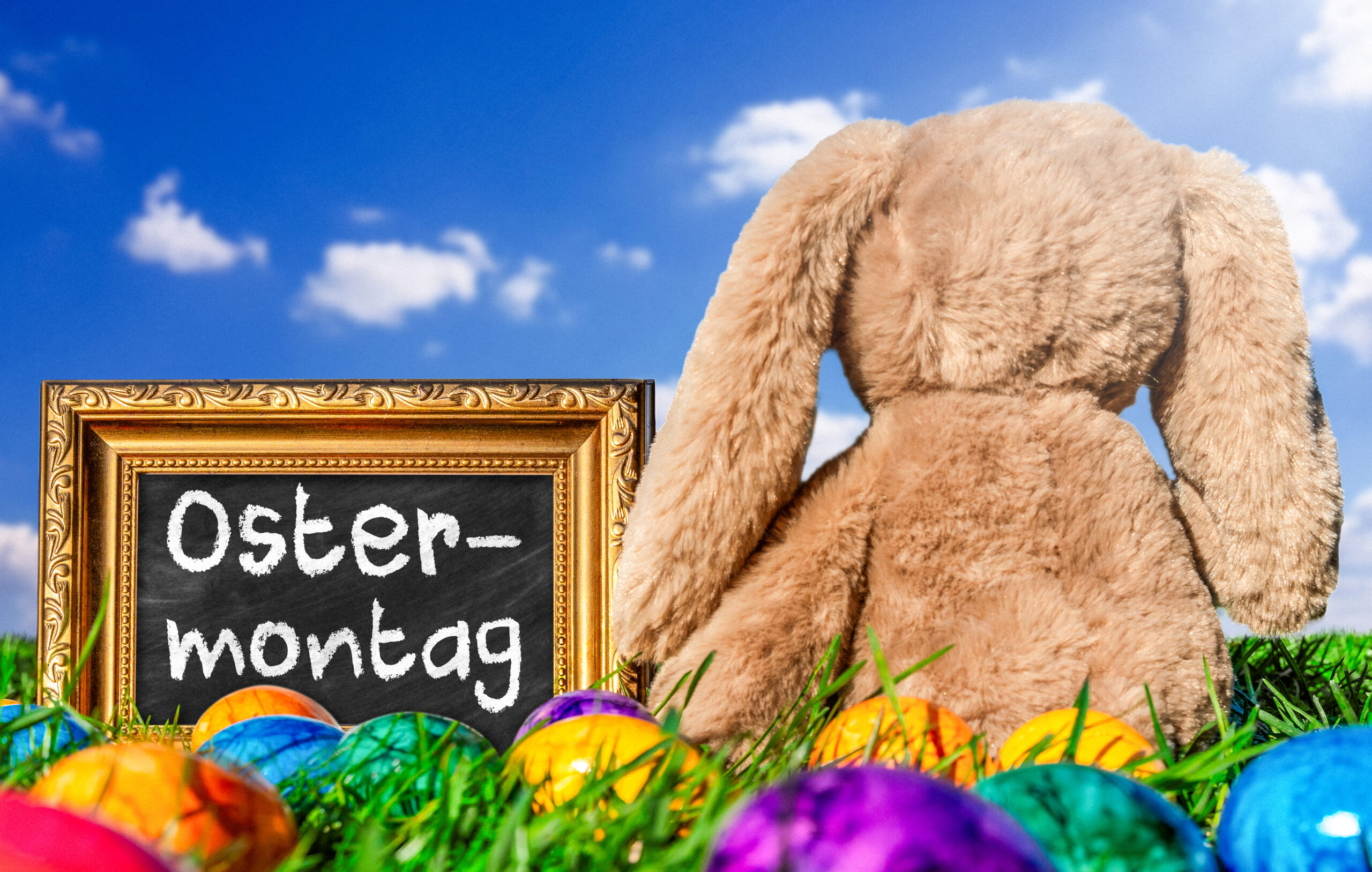 ostermontag bild 2 scaled bilder