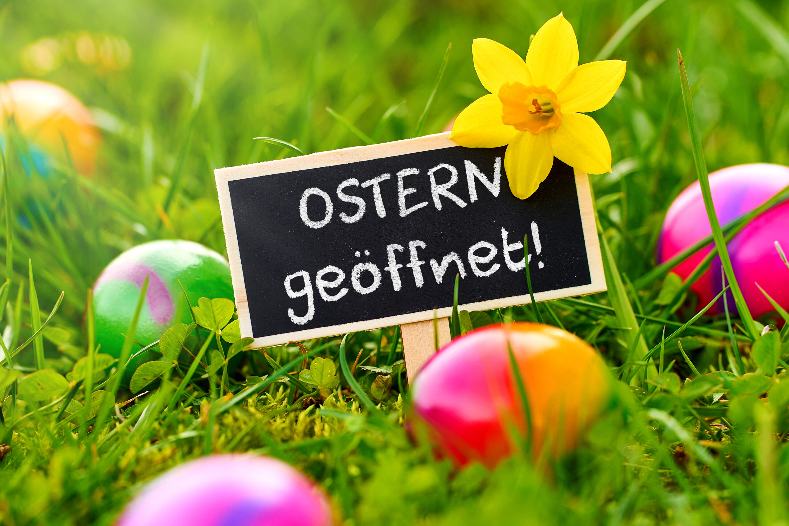 ostern geoeffnet 1 scaled bilder