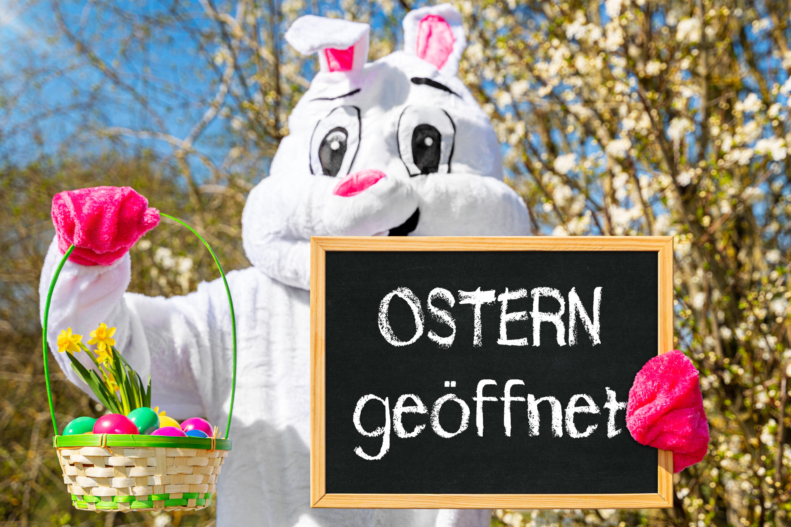 OSTERN BILDER ostern geoeffnet schild 5 scaled