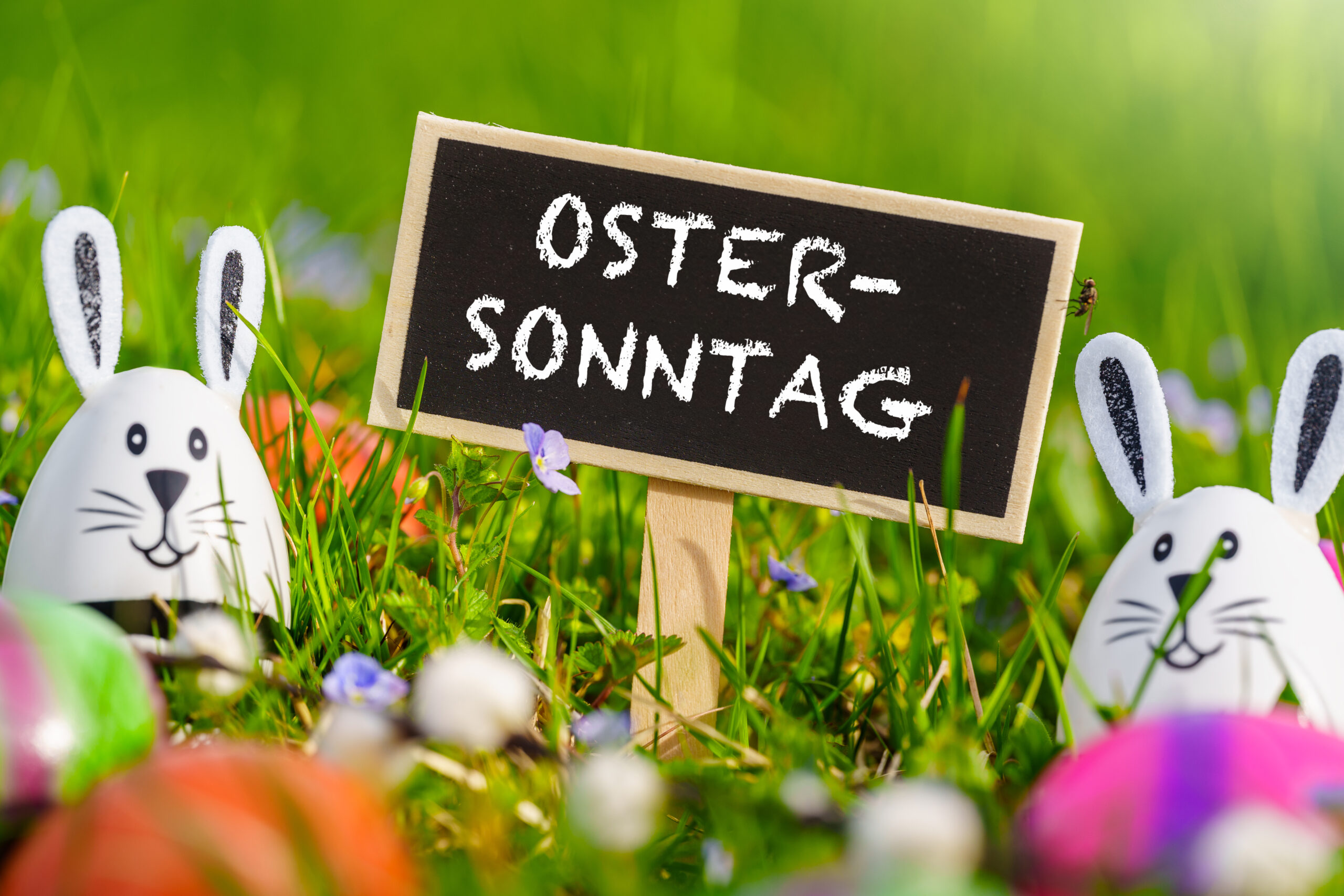 OSTERN BILDER ostersonntag 1 scaled