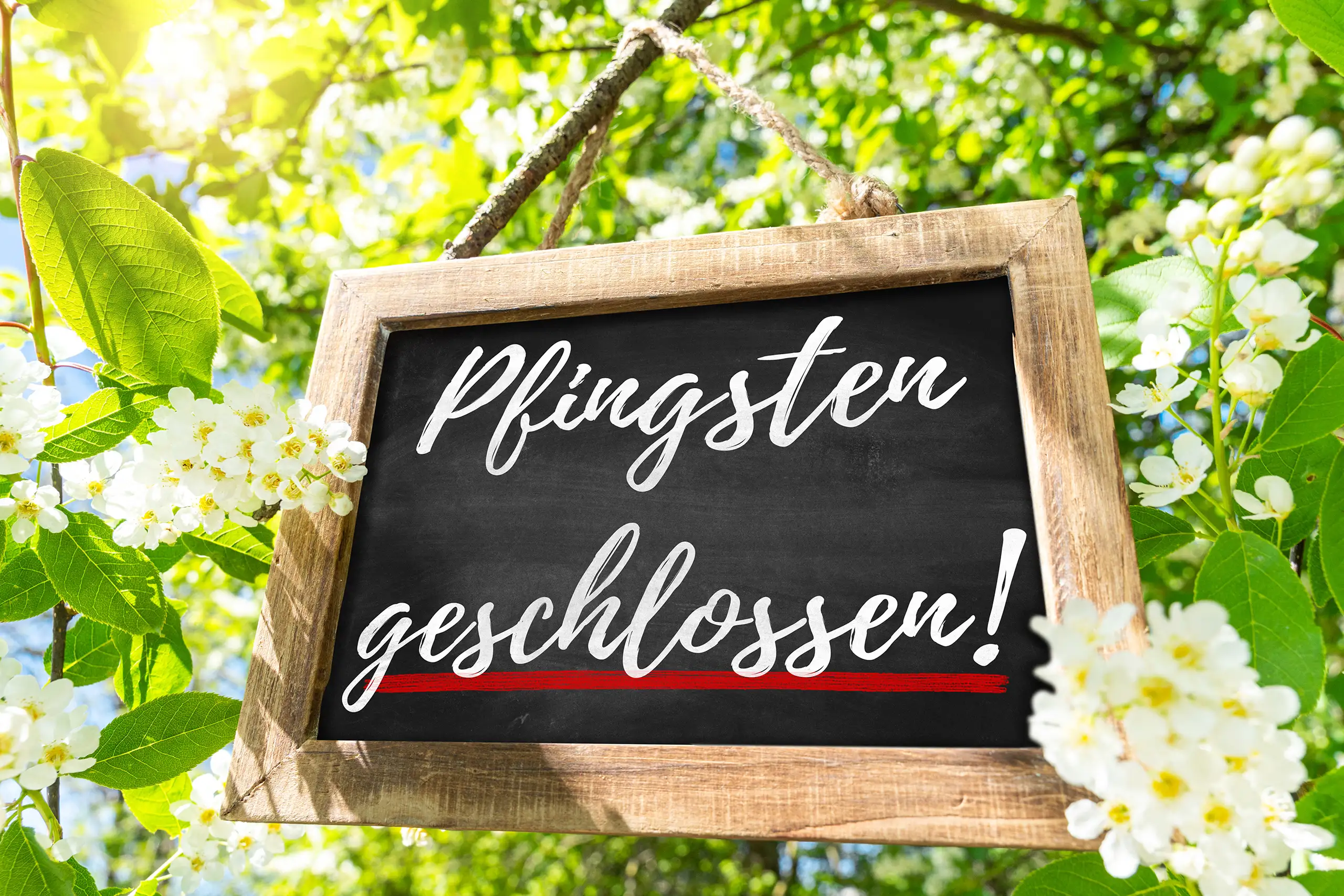 holztafel mit der aufschrift pfingsten geschlossen zwischen weißen blüten und grünen zweigen im sonnenlicht.