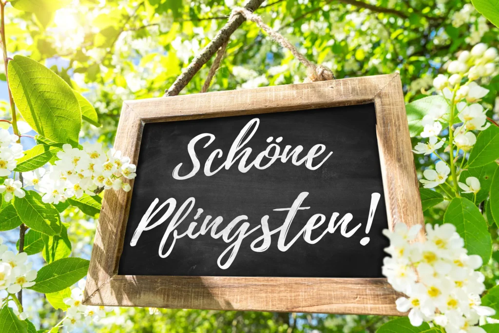 Holztafel mit dem Schriftzug Schöne Pfingsten zwischen weißen Blüten und grünen Blättern im Sonnenlicht.