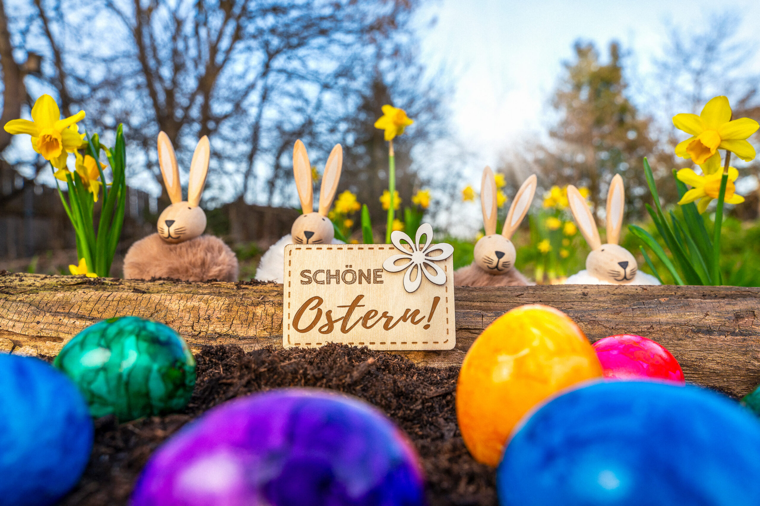 schoene ostern wunsch scaled bilder