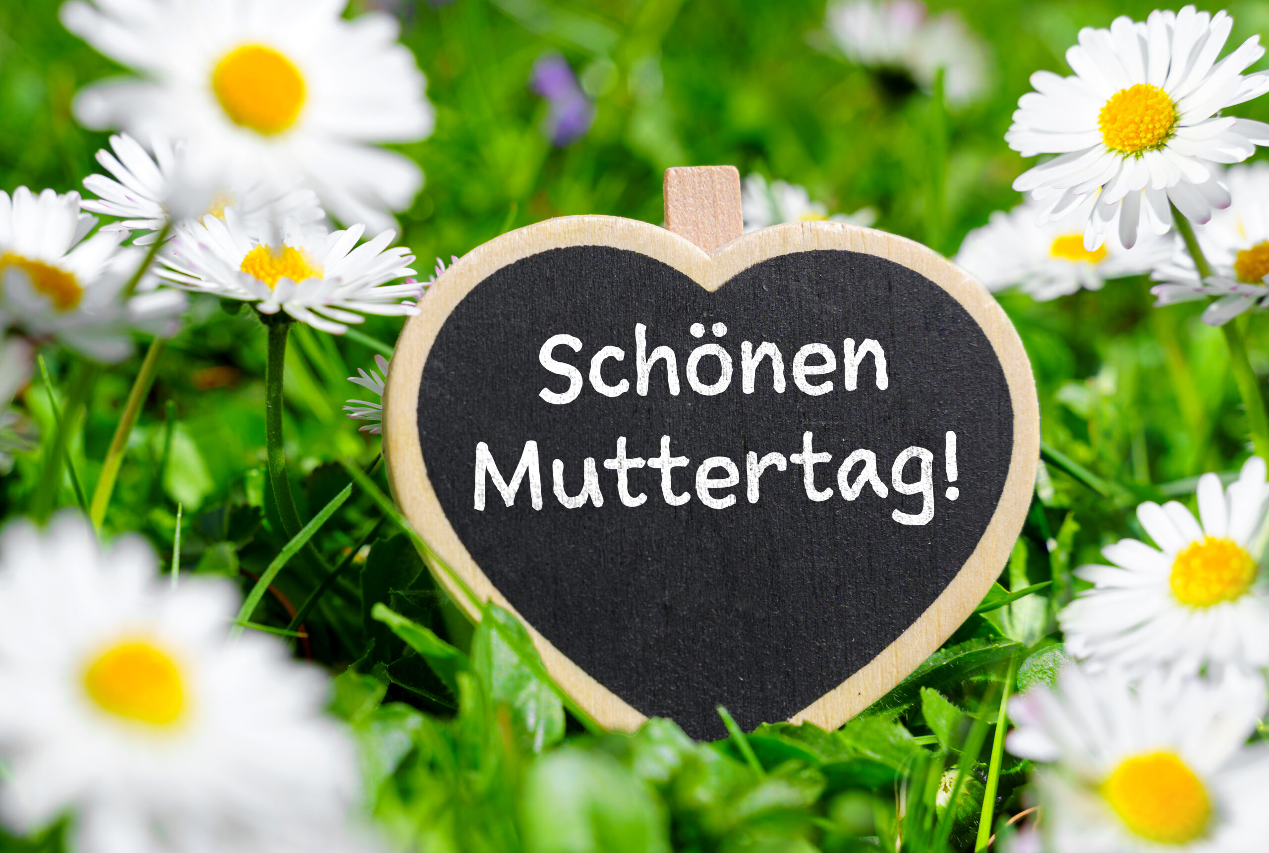 MUTTERTAG BILDER schoenen muttertag 2 scaled