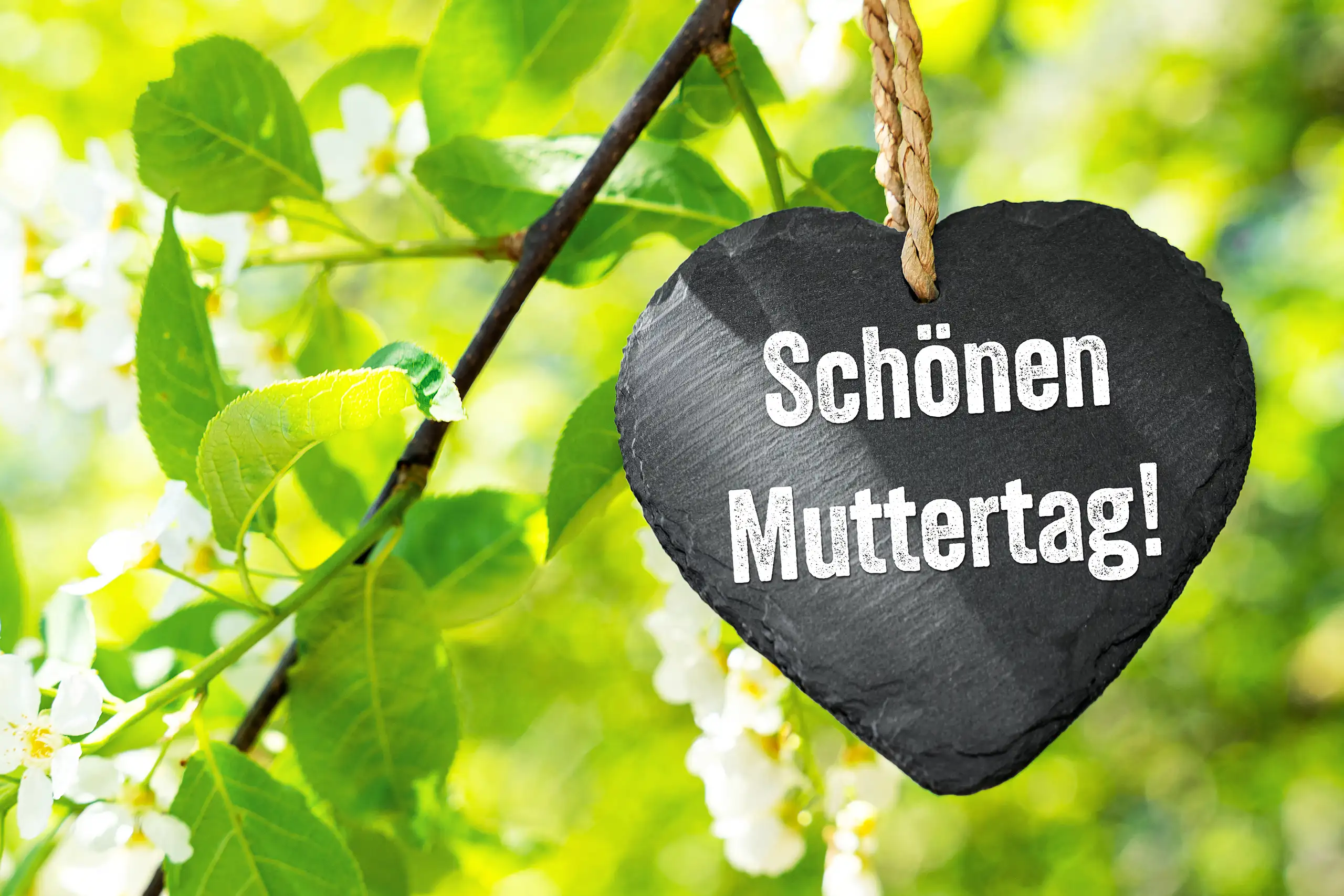 SCHOENEN MUTTERTAG HERZLICHE GRUESSE BILDER schönen muttertag schriftzug auf schwarzem herzschild zwischen grünen blättern und weißen blüten im sonnenlicht.