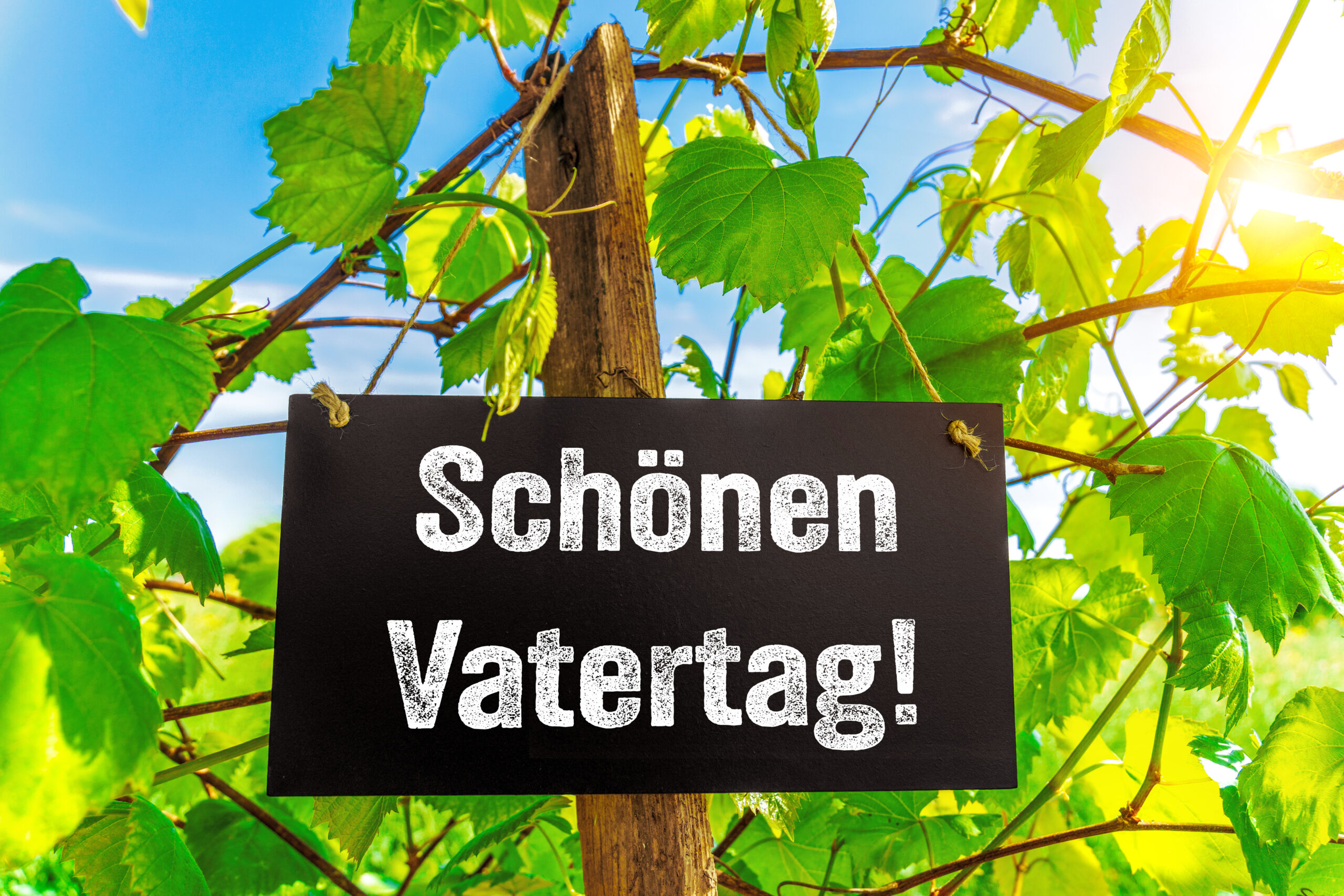 VATERTAG BILDER schoenen vatertag vatertagsgruesse 2 scaled