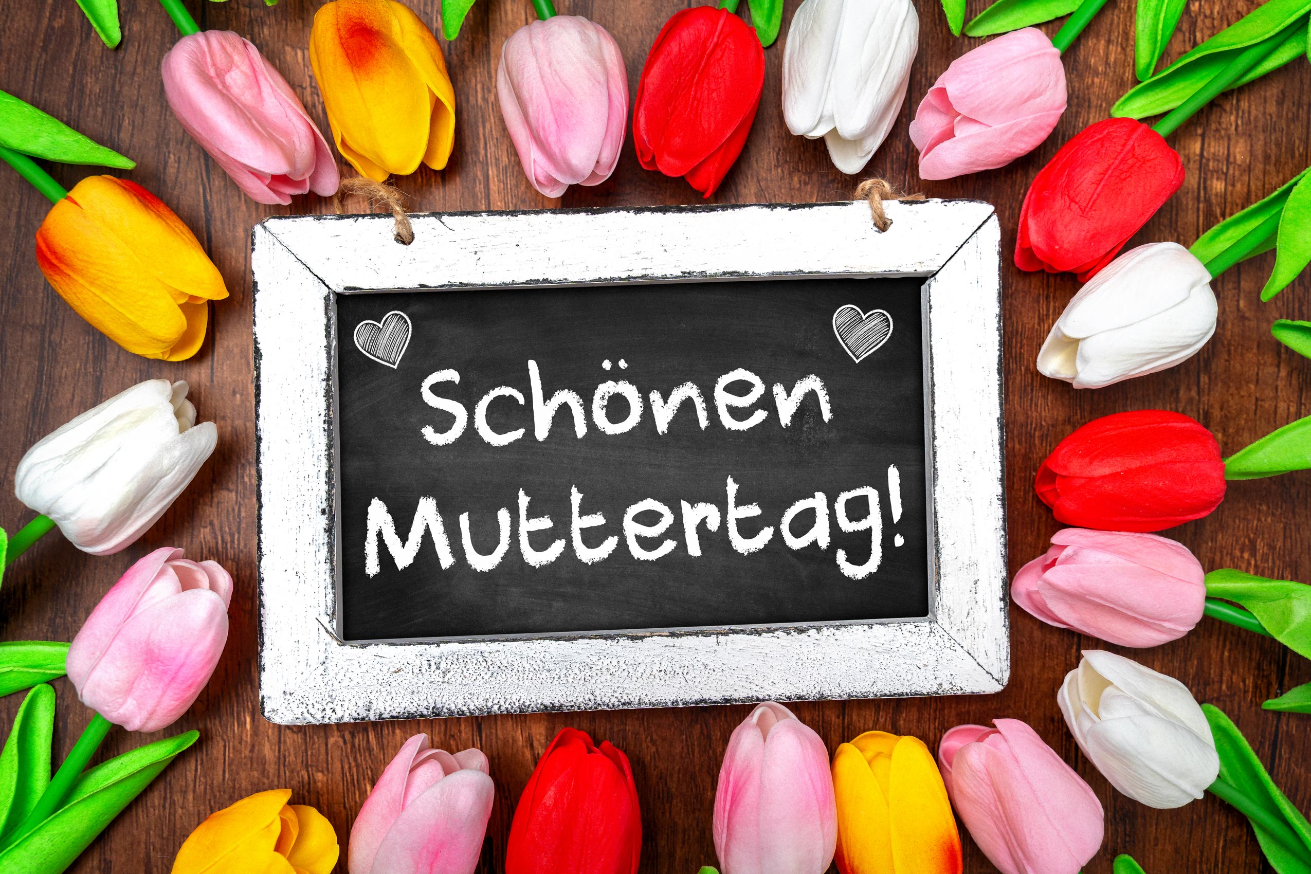 SCHOENEN MUTTERTAG 3 BILDER weiße kreidetafel mit der aufschrift schönen muttertag! umrahmt von bunten tulpen auf dunklem holzgrund.