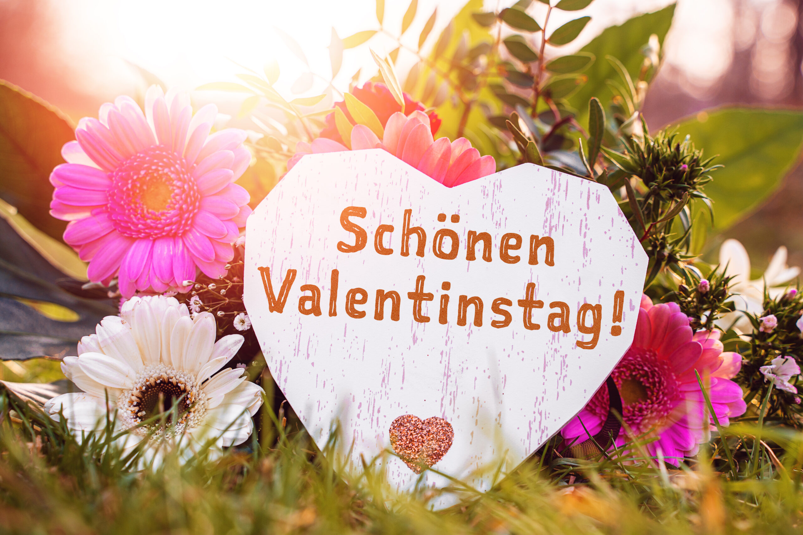 schoenen valentinstag scaled