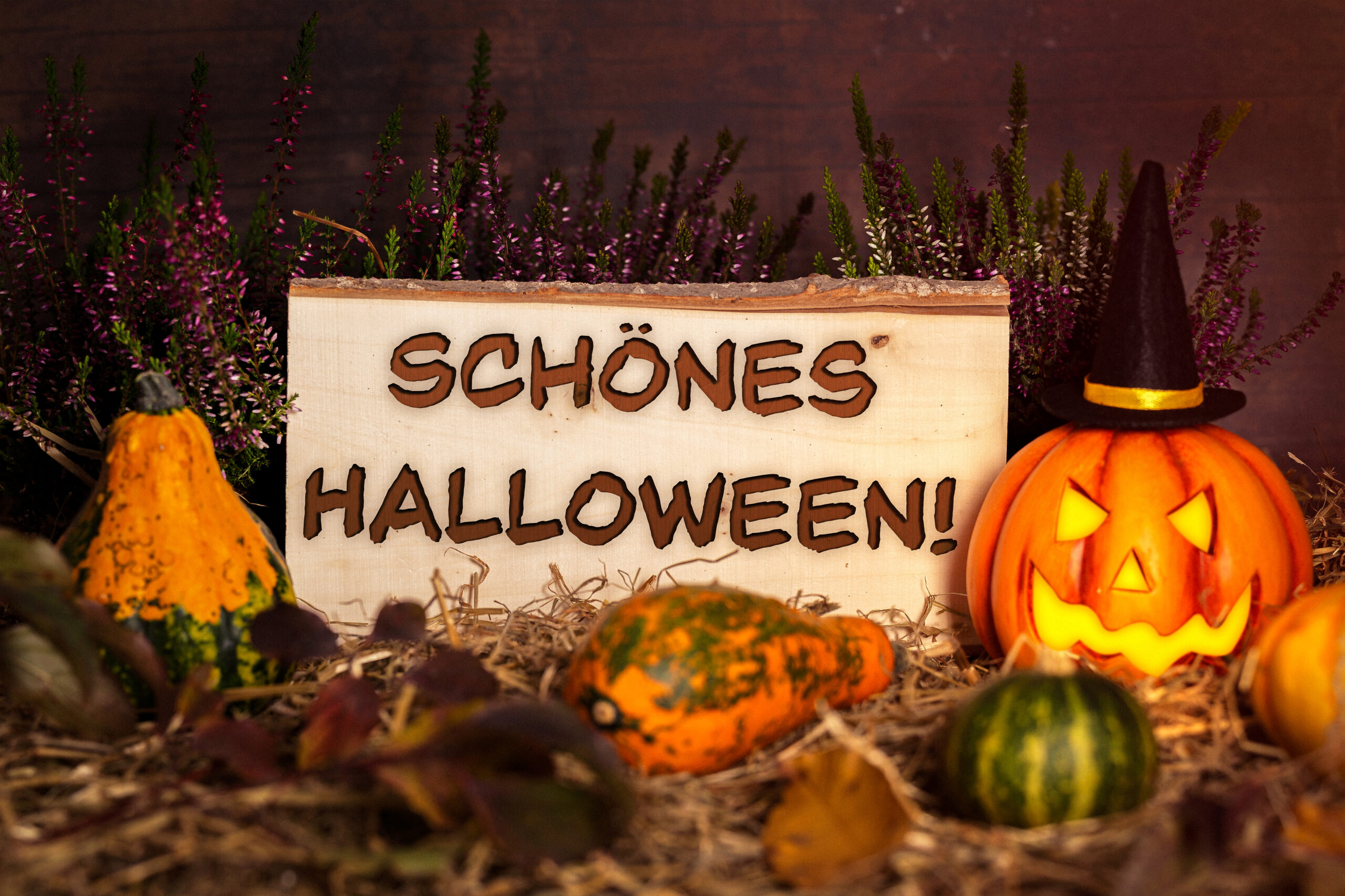 HALLOWEEN BILDER schoenes halloeween 3 scaled