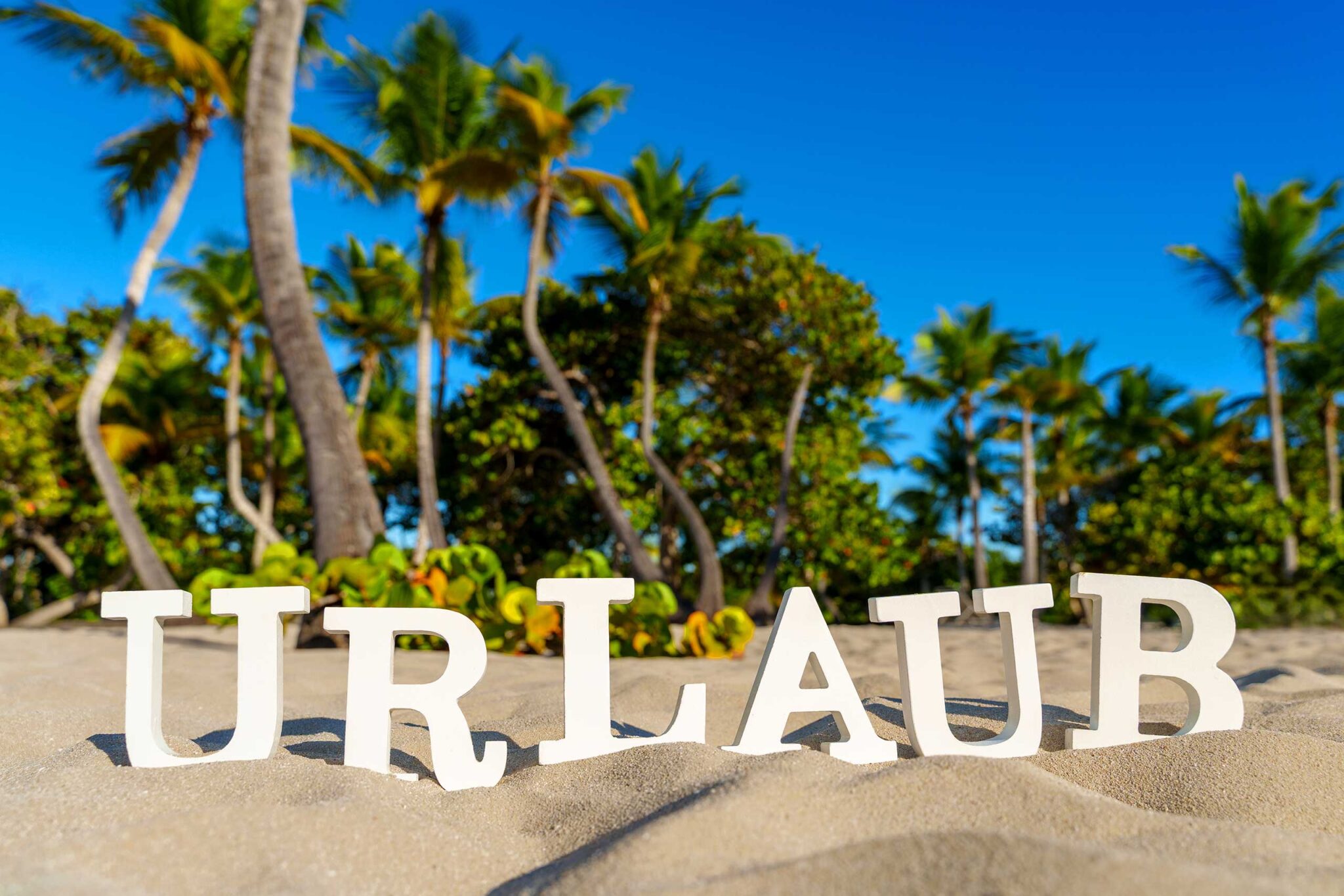 urlaub urlaub bilder bilder