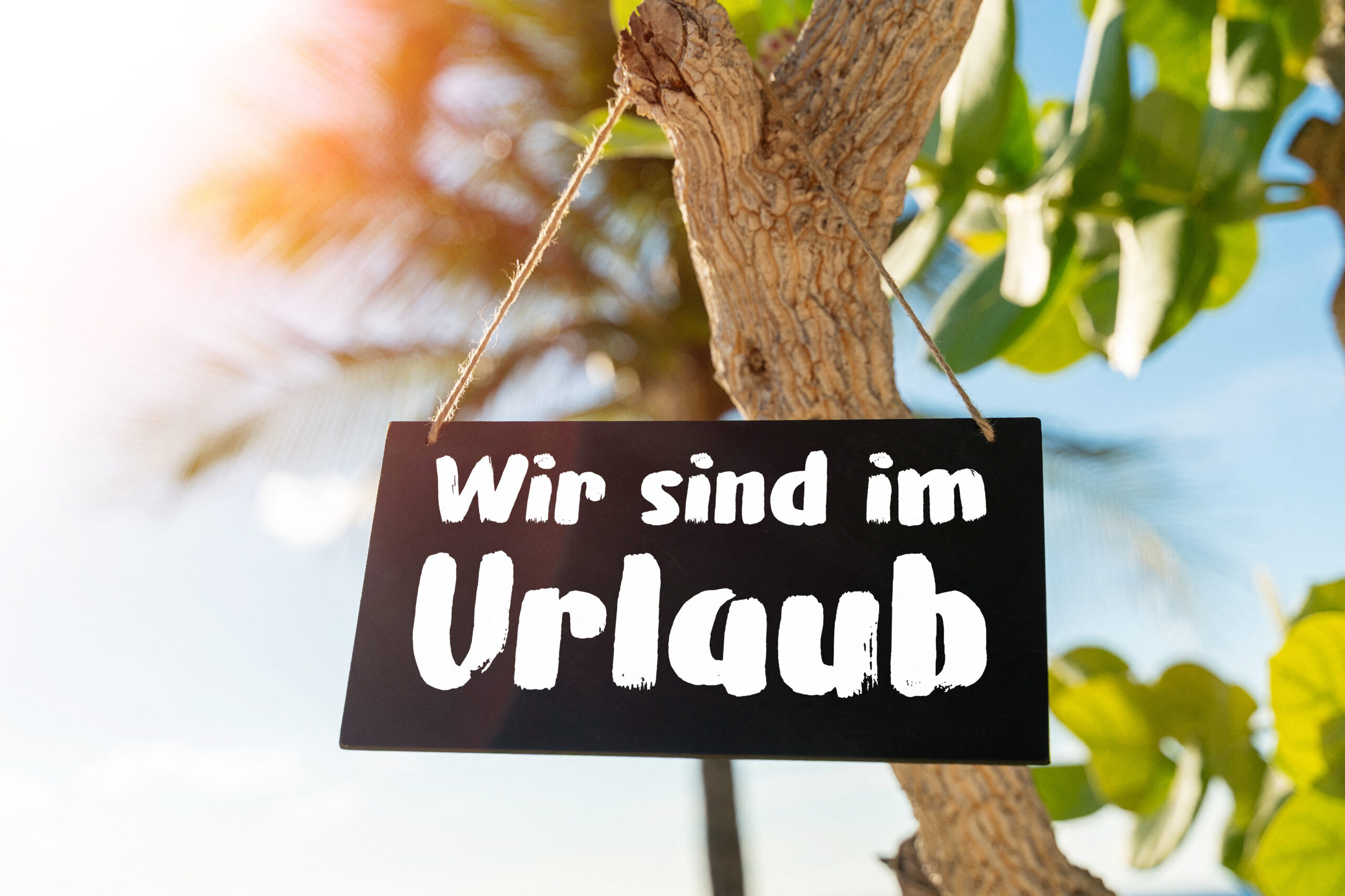 wir sind im urlaub palme schild 1 scaled