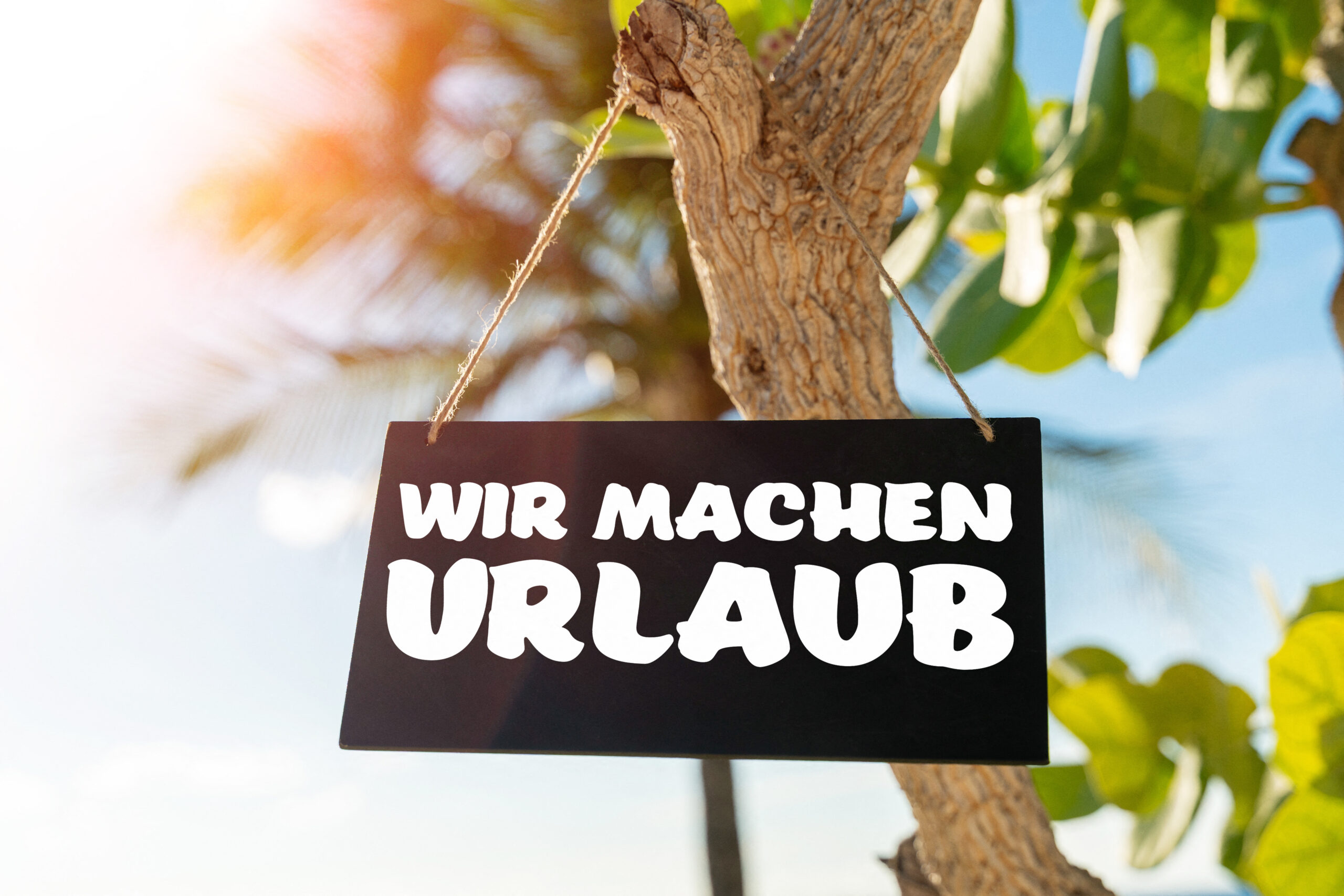 wir machen urlaub schild palme 1 scaled