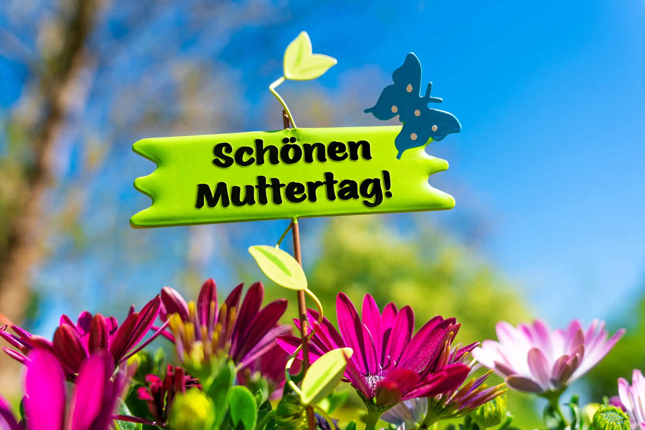WUENSCHE ZUM MUTTERTAG BILDER wünsche zum muttertag mit schönen muttertag gruß auf grünem schild zwischen pinken blumen, schmetterling und blauem himmel im frühling.