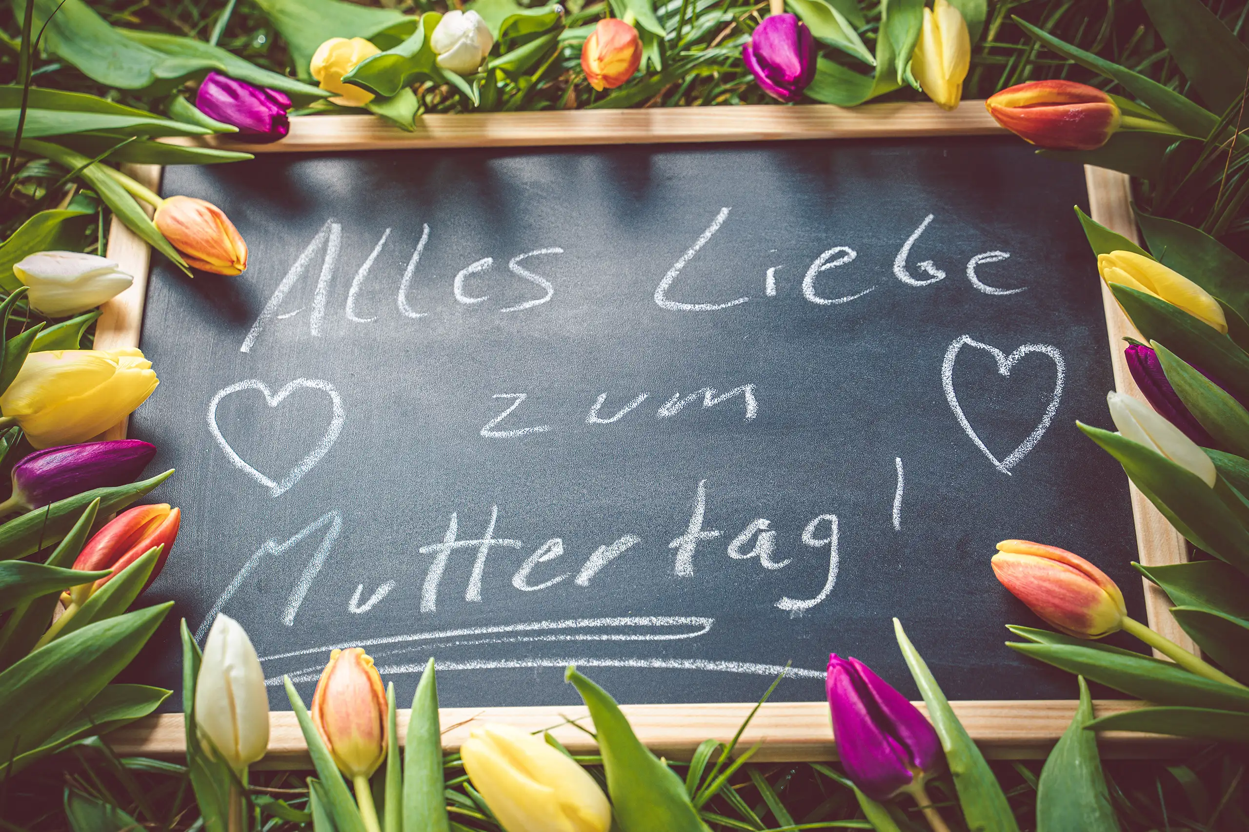 WUENSCHE ZUM MUTTERTAG BILDER wünsche zum muttertag mit alles liebe zum muttertag schriftzug auf schwarzer tafel zwischen bunten tulpen und gezeichneten herzen.